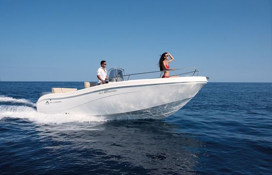 Allegra 21 Allegra