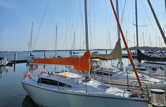 Altra 27 Surja