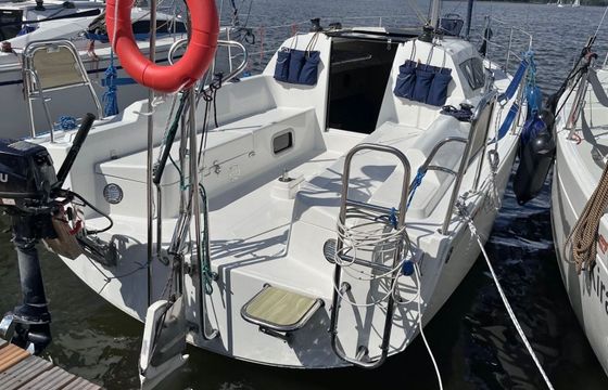 Antila 24.4 Vipera