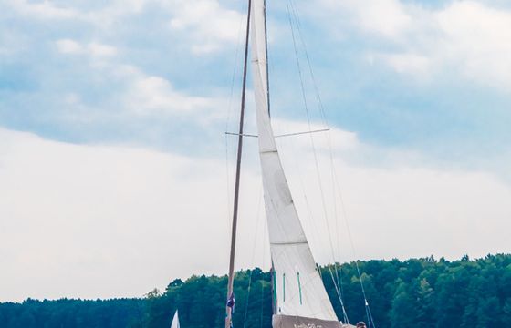 Antila 26cc Bravo 1