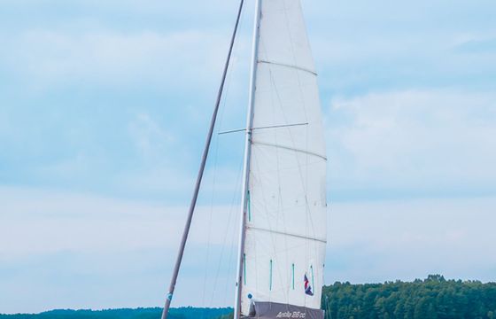 Antila 26cc Bravo 1