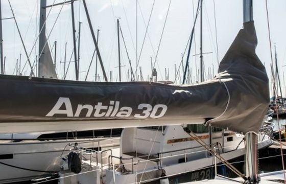 Antila 30 Albercik