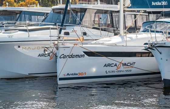Antila 30.1 Cardamon