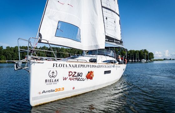 Antila 33.3 Dziki w Natarciu