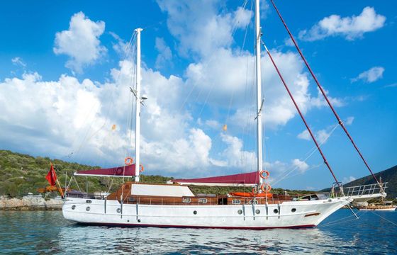 Ark Yachts 14 Primadonna