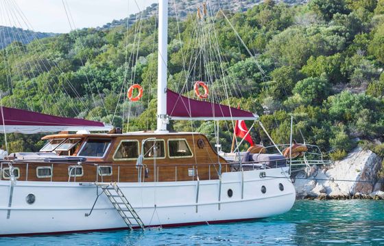 Ark Yachts 14 Primadonna