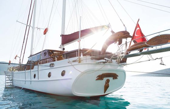 Ark Yachts 14 Primadonna