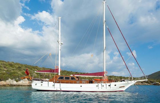 Ark Yachts 14 Primadonna
