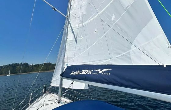 Antila 30 Eagle 3