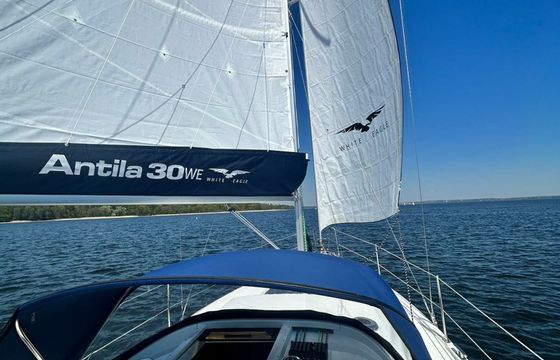 Antila 30 Eagle 3