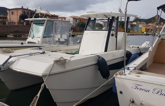 Aquila 28 Molokai Eagle 1