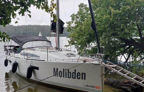 Antila 33 Molibden