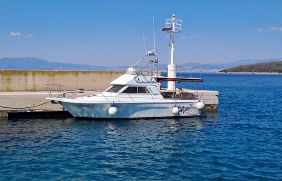 Arcoa 1080 Marlin 2
