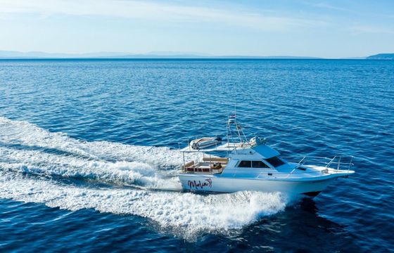 Arcoa 1080 Marlin 2