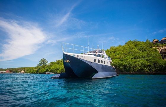 Austral 72 Haruku