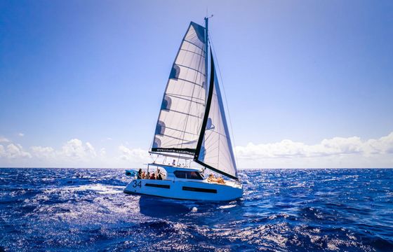 Aventura 34 Da Vinci