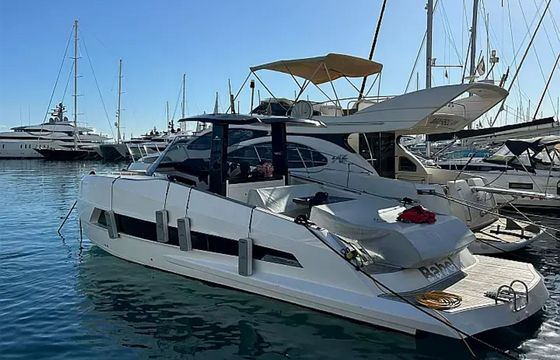 Astondoa 377 Pfeffer