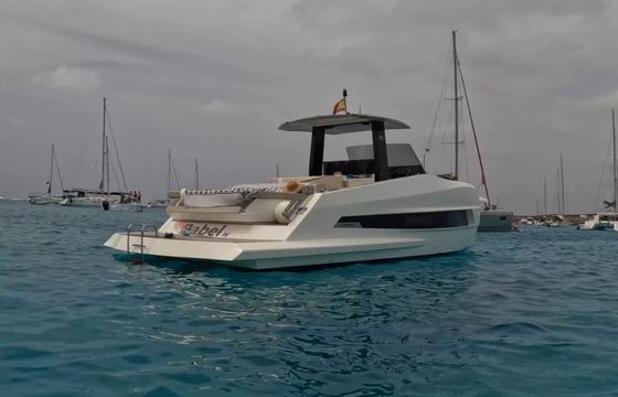 Astondoa 377 Pfeffer