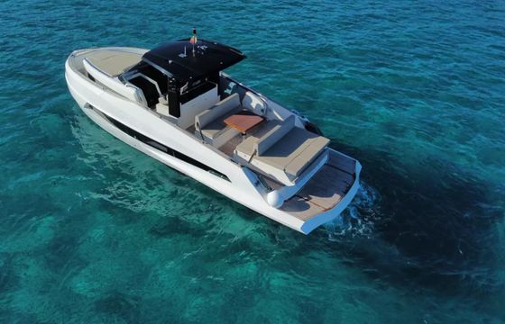 Astondoa 377 Pfeffer