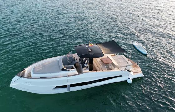 Astondoa 377 Pfeffer