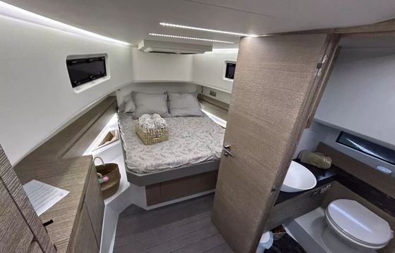 Astondoa 377 Pfeffer