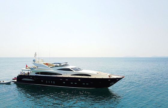 Astondoa 102 Blosson
