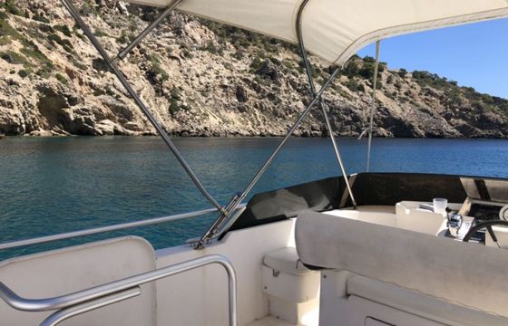 Astondoa 50 Sophia