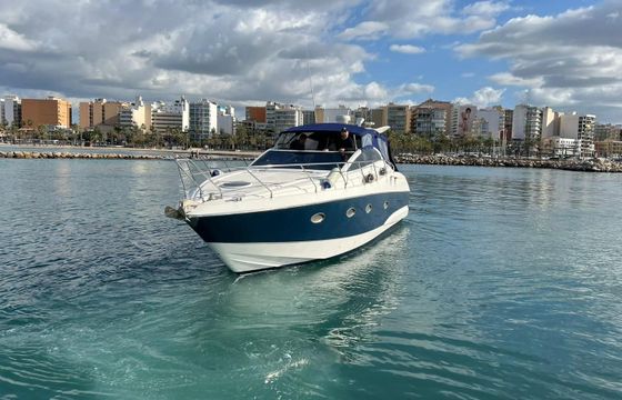 Astondoa 40 Gina