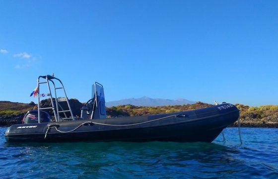 Astec Pro 600 16