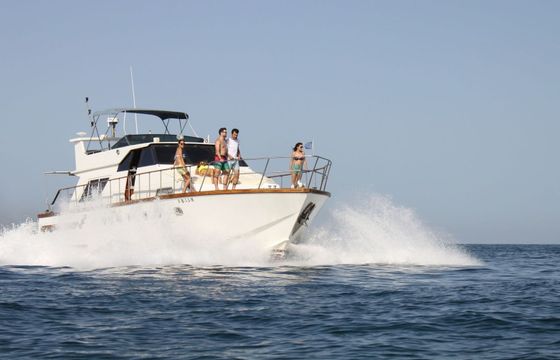 Astondoa 52 Oker