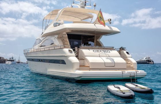 Astondoa 72 Gecko