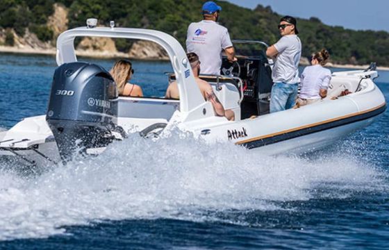 Attack Rib 8 Paul