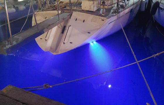 Atlantic 61 Coconaut
