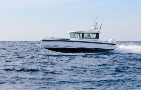 Axopar 28 19