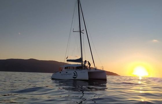 Aventura 33 Haizealaia