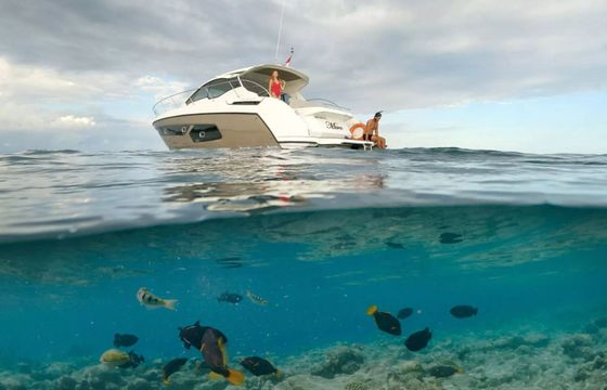 Azimut 43 Mira