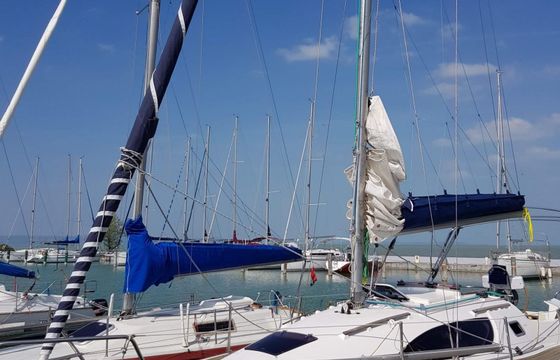 Balaton 295 Maximum