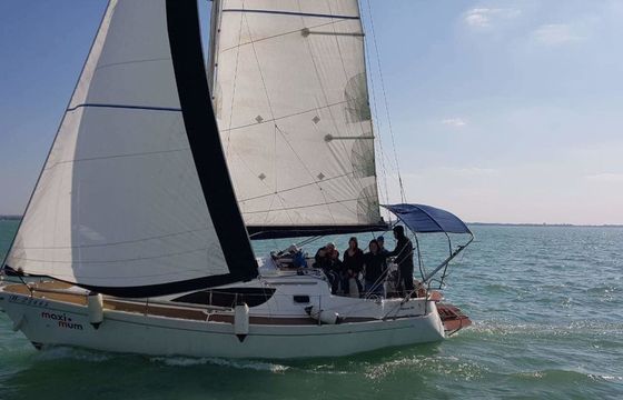 Balaton 295 Maximum