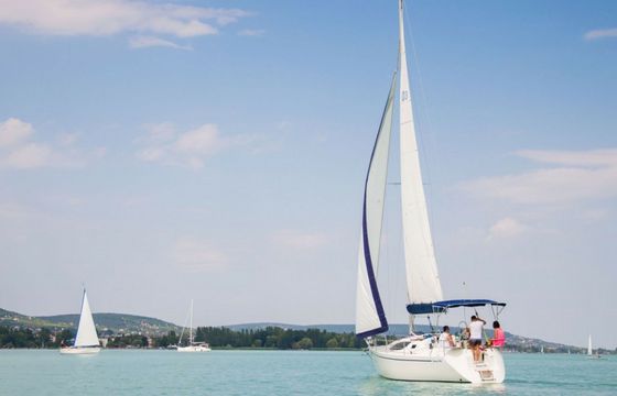 Balaton 295 Shark