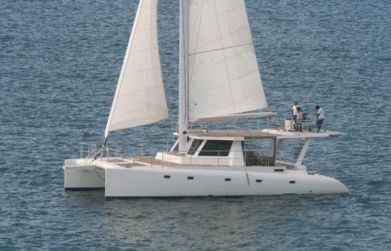 BAFF Polymech Ceycat 53 Jade