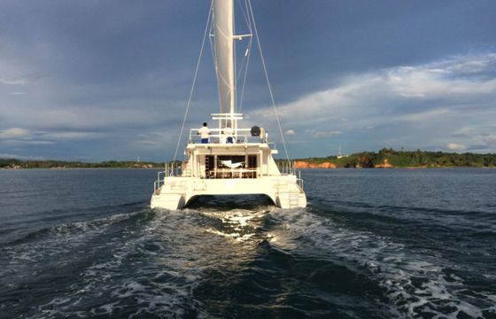 BAFF Polymech Ceycat 53 Jade