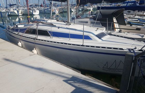 Balaton 31 Tyrannos