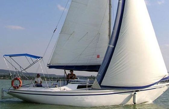 Balaton 31 Tyrannos