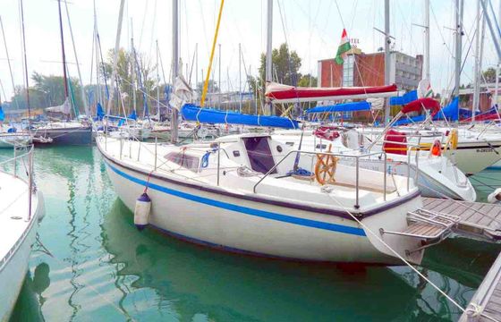 Balaton 31 Tyrannos