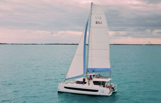 Bali 4.4 Ptarmigan
