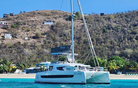 Bali 4.6 Sea Dog