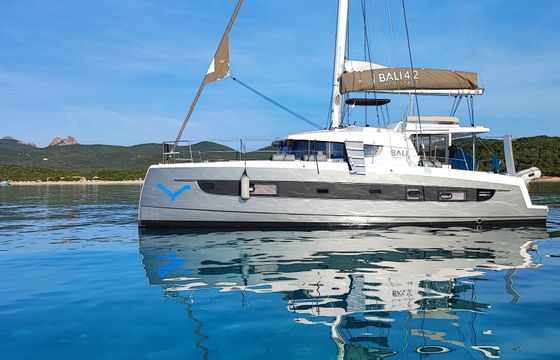 Bali 4.2 Ziphius