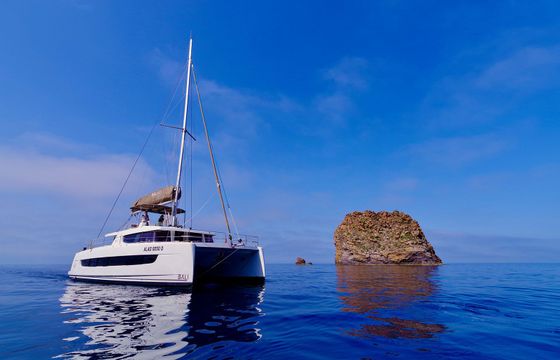 Bali 4.8 Antigone
