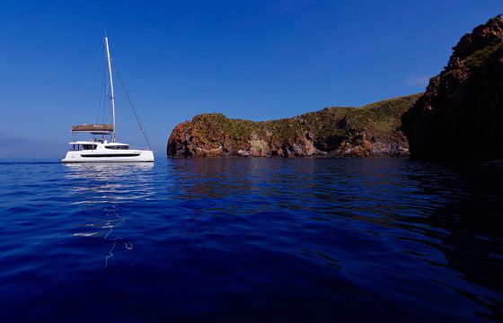 Bali 4.8 Antigone