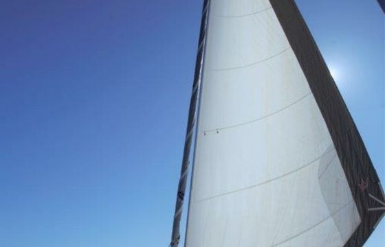 Bali 4.5 Albert